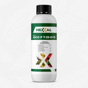 ASCO P7-25-0+TE
