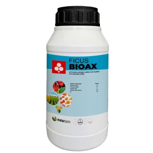 FICUS BIOAX