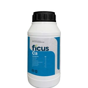 FICUS Ca