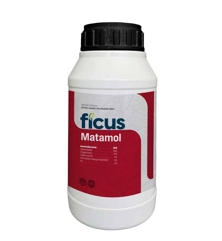 FICUS MATAMOL