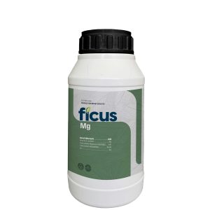 FICUS Mg