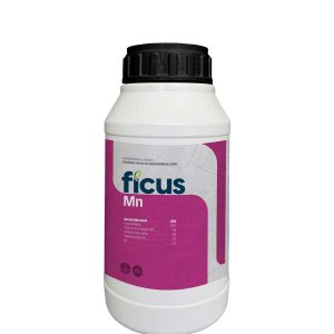 FICUS Mn