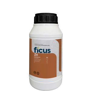 FICUS Zn
