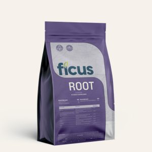 FICUS ROOT
