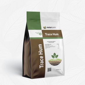 TRACE HUM