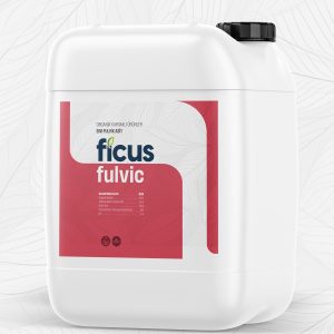 FICUS FULVIC